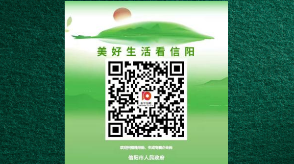 信阳市企业码正式上线运行